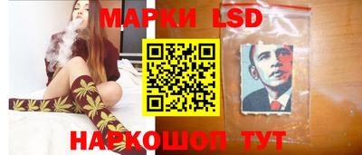apvp Кингисепп