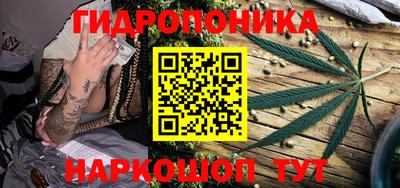 apvp Кингисепп
