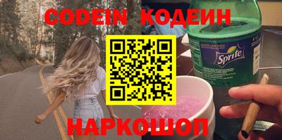 apvp Кингисепп