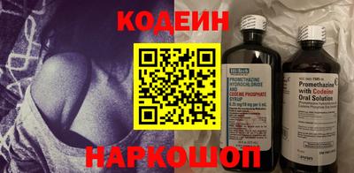 apvp Кингисепп