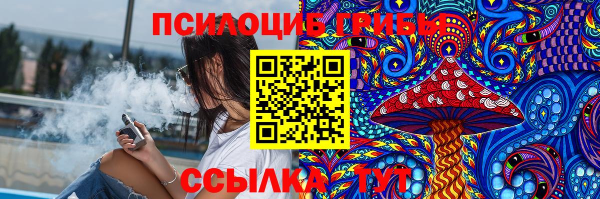 сколько стоит  Псилоцибиновые грибы мицелий  Вход с VPN  Бирск 